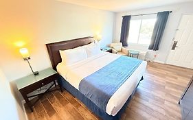 Lantern Inn & Suites - Sarasota